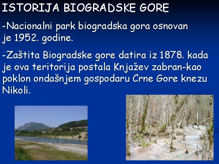 ISTORIJA BIOGRADSKE GORE -Nacionalni park biogradska gora osnovan je 1952. godine. -Zaštita Biogradske gore