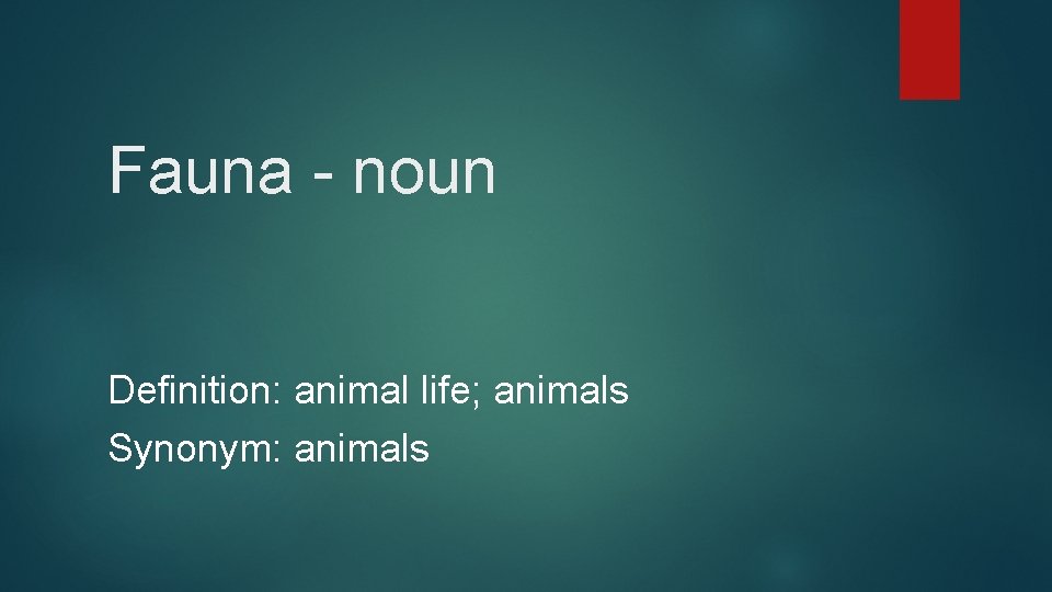 Fauna - noun Definition: animal life; animals Synonym: animals 