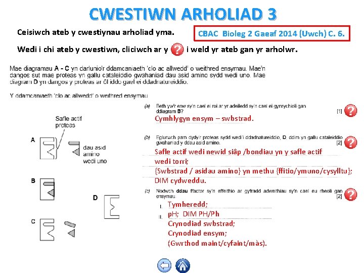 CWESTIWN ARHOLIAD 3 Ceisiwch ateb y cwestiynau arholiad yma. Wedi i chi ateb y