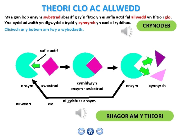 THEORI CLO AC ALLWEDD Mae gan bob ensym swbstrad sbesiffig sy’n ffitio yn ei