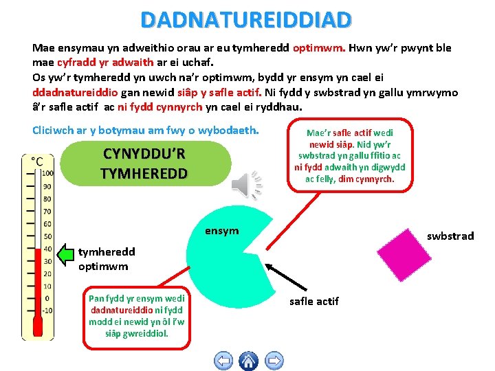 DADNATUREIDDIAD Mae ensymau yn adweithio orau ar eu tymheredd optimwm. Hwn yw’r pwynt ble