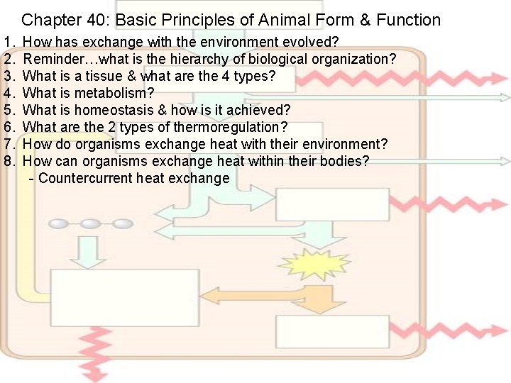 Chapter 40: Basic Principles of Animal Form & Function 1. 2. 3. 4. 5.