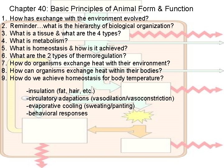 Chapter 40: Basic Principles of Animal Form & Function 1. 2. 3. 4. 5.