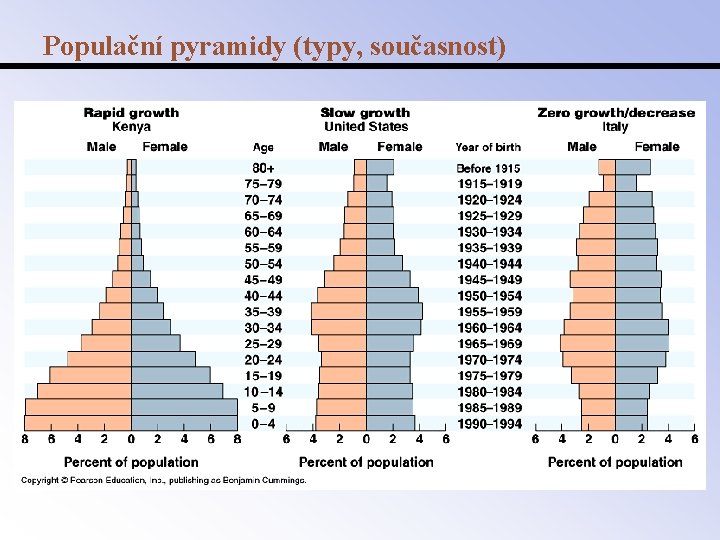 Populační pyramidy (typy, současnost) 
