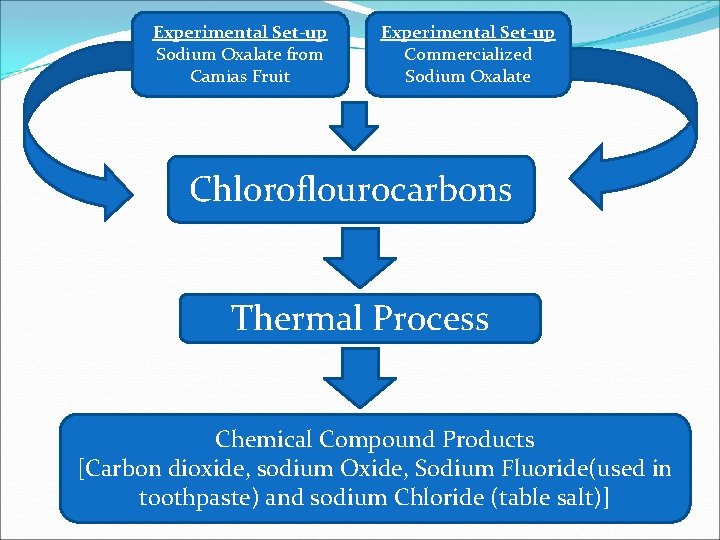 Experimental Set-up Sodium Oxalate from Camias Fruit Experimental Set-up Commercialized Sodium Oxalate Chloroflourocarbons Thermal