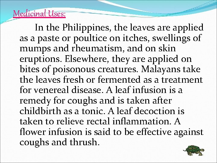 Medicinal Uses: In the Philippines, the leaves are applied as a paste or poultice