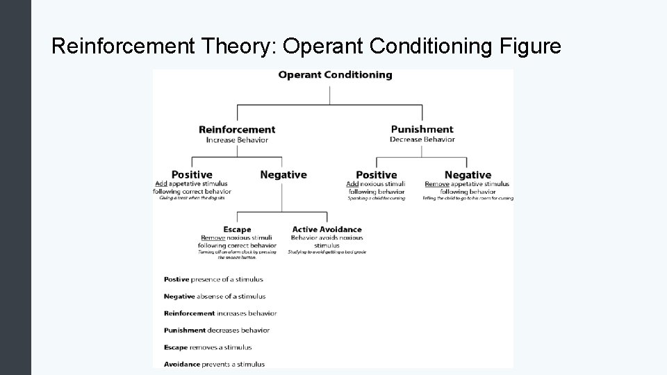 Reinforcement Theory: Operant Conditioning Figure 