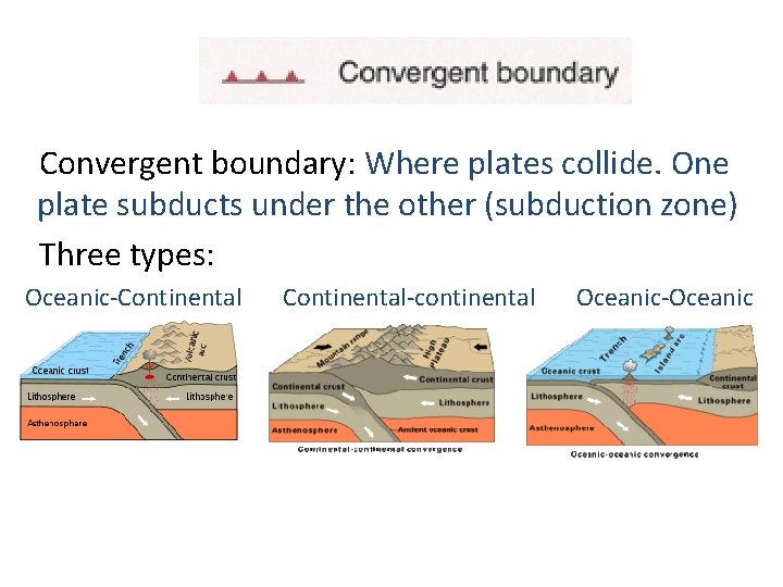 jk Convergent boundary: Where plates collide. One plate subducts under the other (subduction zone)