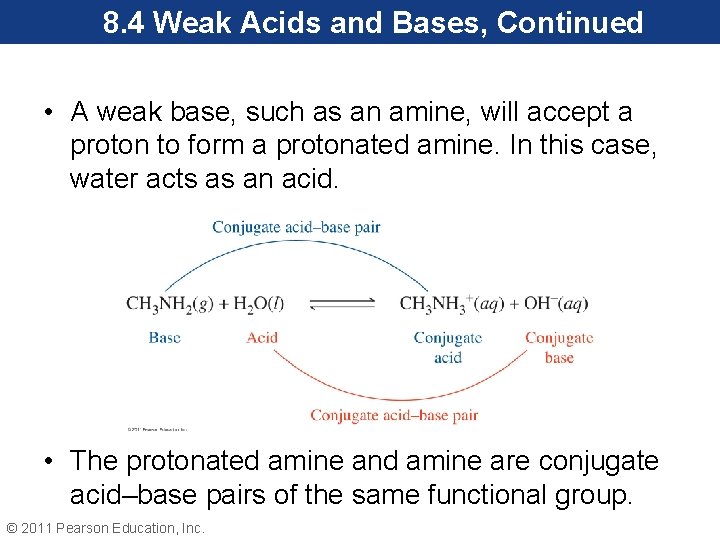 8. 4 Weak Acids and Bases, Continued • A weak base, such as an