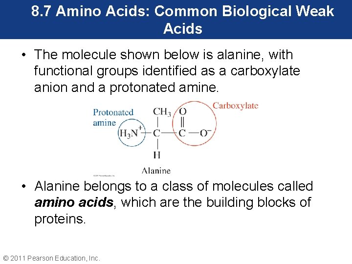 8. 7 Amino Acids: Common Biological Weak Acids • The molecule shown below is