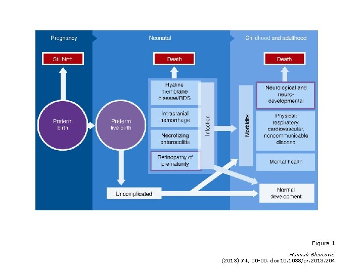 Figure 1 Hannah Blencowe (2013) 74, 00 -00. doi: 10. 1038/pr. 2013. 204 