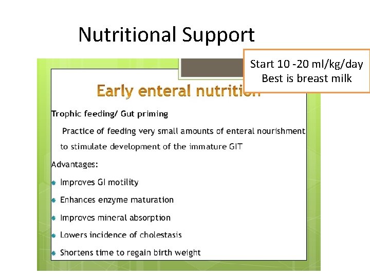 Nutritional Support Start 10 -20 ml/kg/day Best is breast milk 