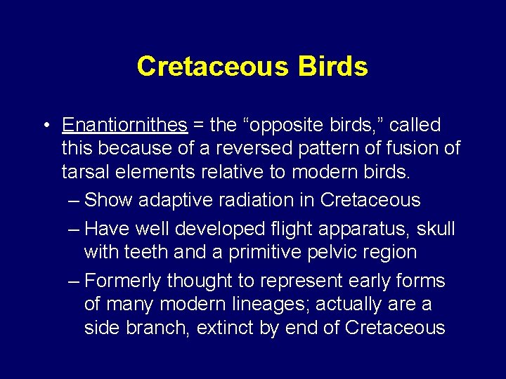 Cretaceous Birds • Enantiornithes = the “opposite birds, ” called this because of a