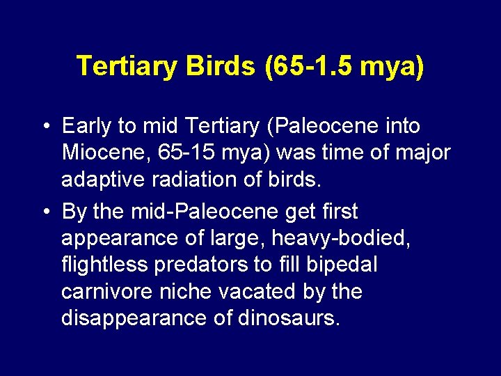 Tertiary Birds (65 -1. 5 mya) • Early to mid Tertiary (Paleocene into Miocene,