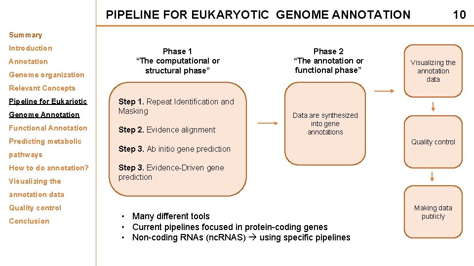 PIPELINE FOR EUKARYOTIC GENOME ANNOTATION 10 Summary Introduction Annotation Genome organization Phase 1 “The