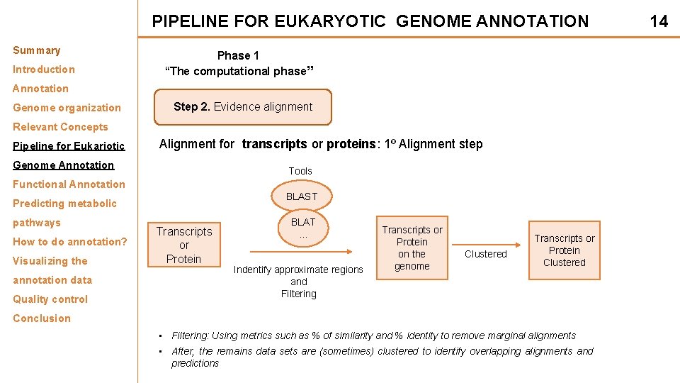 PIPELINE FOR EUKARYOTIC GENOME ANNOTATION Summary Introduction Phase 1 “The computational phase” Annotation Genome