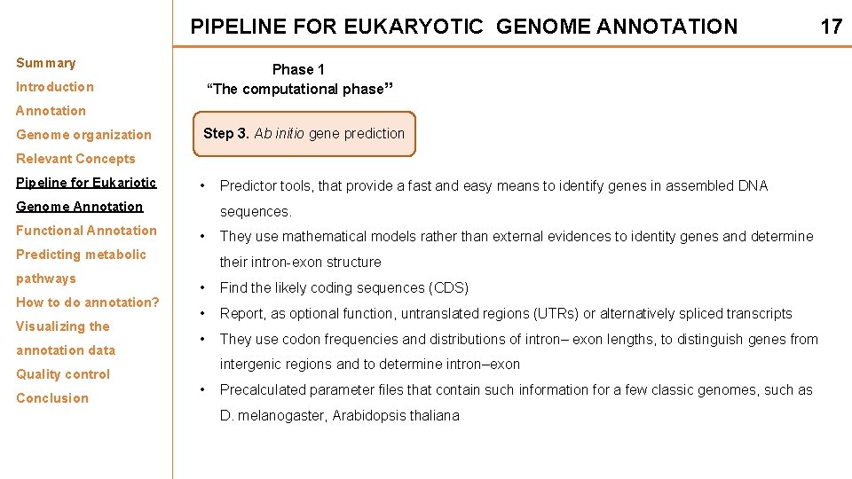 PIPELINE FOR EUKARYOTIC GENOME ANNOTATION Summary 17 Phase 1 “The computational phase” Introduction Annotation