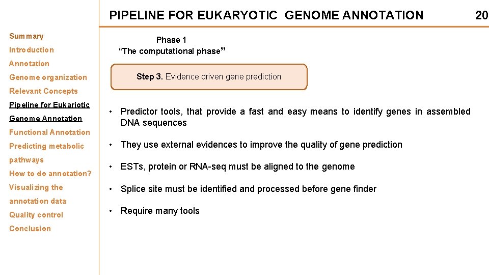 PIPELINE FOR EUKARYOTIC GENOME ANNOTATION Summary Introduction Phase 1 “The computational phase” Annotation Genome