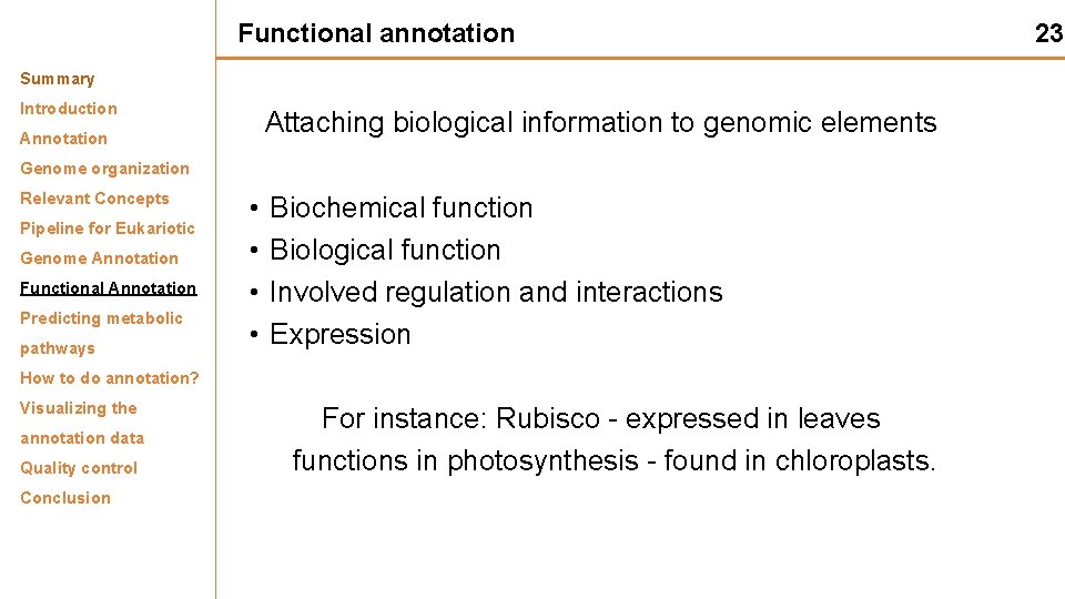 Functional annotation Summary Introduction Attaching biological information to genomic elements Annotation Genome organization Relevant