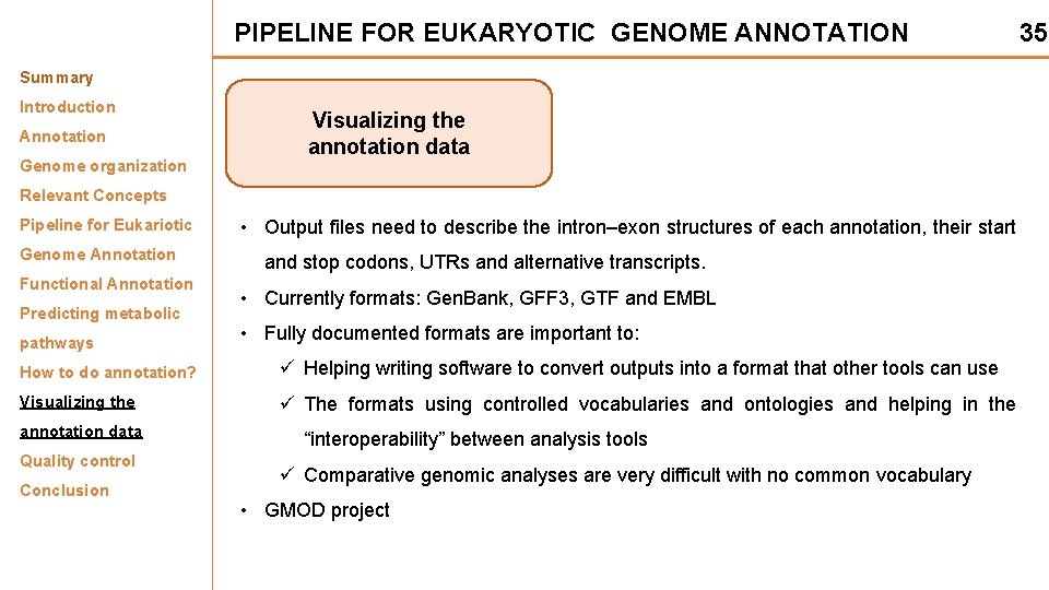 PIPELINE FOR EUKARYOTIC GENOME ANNOTATION 35 Summary Introduction Annotation Genome organization Visualizing the annotation