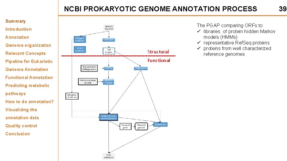 NCBI PROKARYOTIC GENOME ANNOTATION PROCESS Summary Introduction Annotation Genome organization Relevant Concepts Structural Pipeline