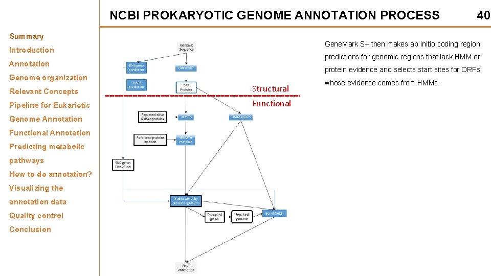 NCBI PROKARYOTIC GENOME ANNOTATION PROCESS Summary Gene. Mark S+ then makes ab initio coding