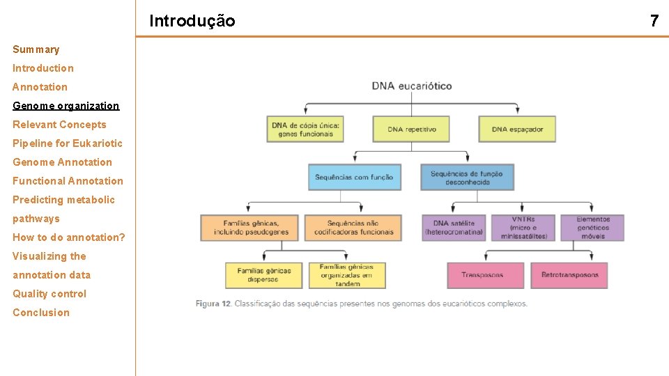 Introdução Summary Introduction Annotation Genome organization Relevant Concepts Pipeline for Eukariotic Genome Annotation Functional