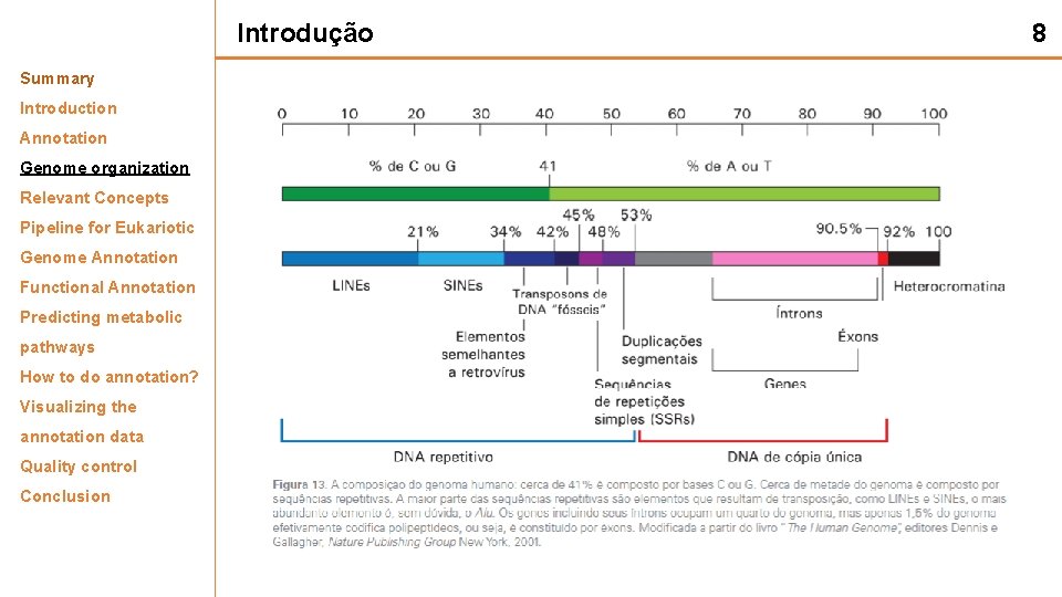 Introdução Summary Introduction Annotation Genome organization Relevant Concepts Pipeline for Eukariotic Genome Annotation Functional