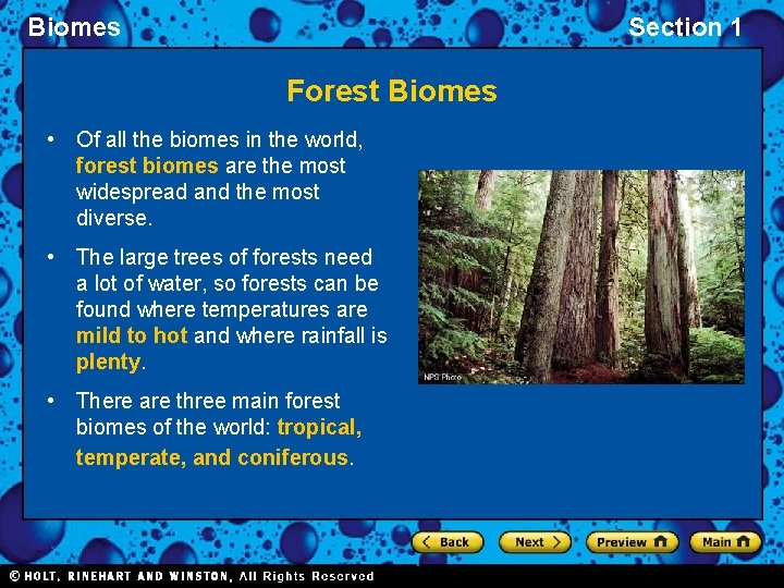 Biomes Section 1 Forest Biomes • Of all the biomes in the world, forest