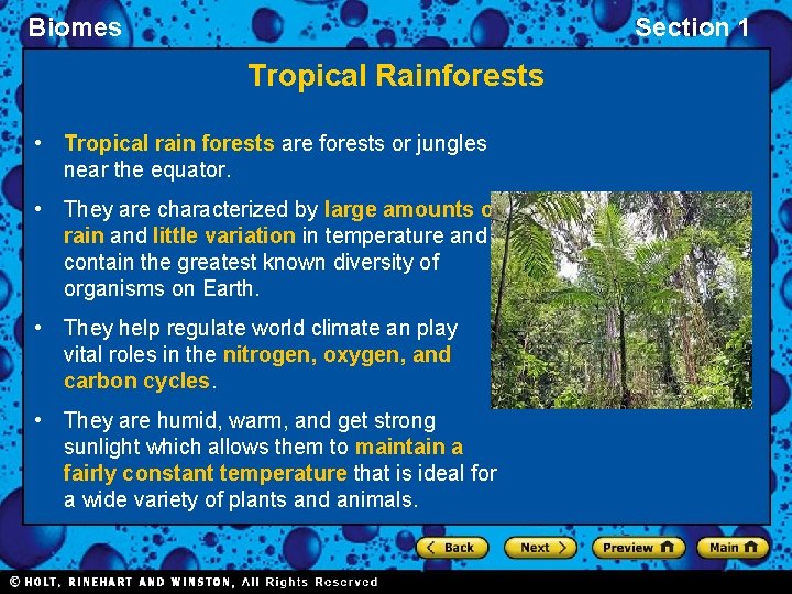 Biomes Section 1 Tropical Rainforests • Tropical rain forests are forests or jungles near
