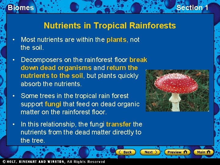 Biomes Section 1 Nutrients in Tropical Rainforests • Most nutrients are within the plants,