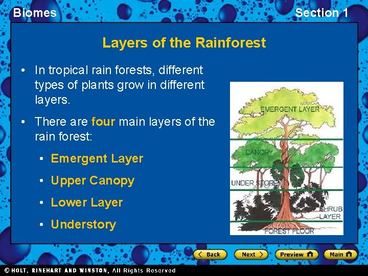 Biomes Section 1 Layers of the Rainforest • In tropical rain forests, different types