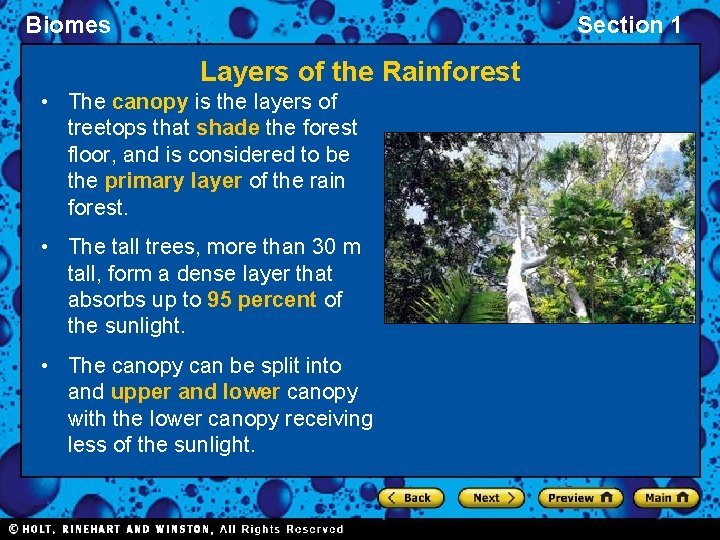 Biomes Section 1 Layers of the Rainforest • The canopy is the layers of