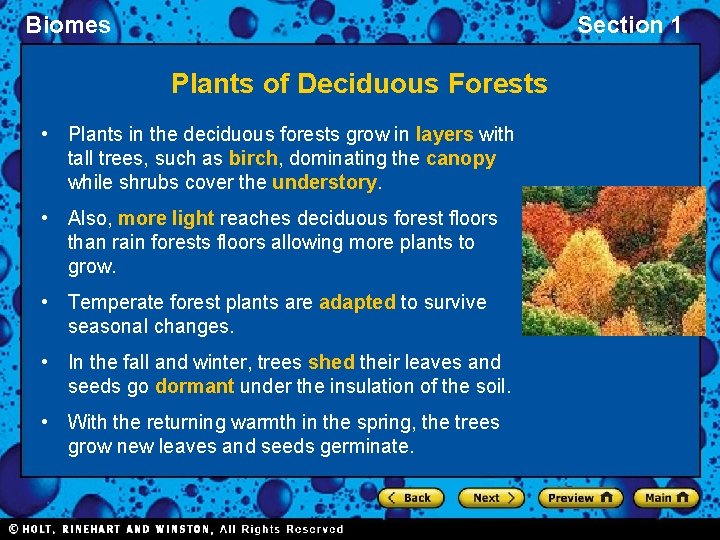 Biomes Section 1 Plants of Deciduous Forests • Plants in the deciduous forests grow