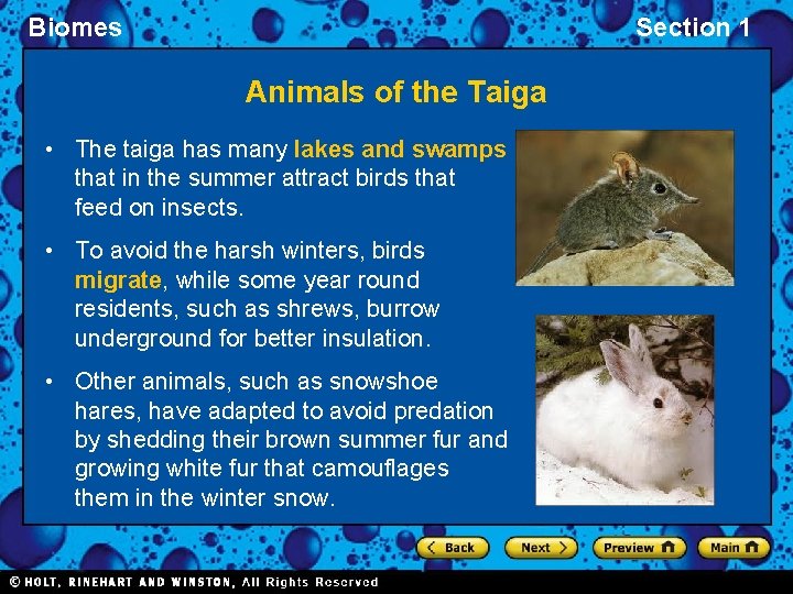Biomes Section 1 Animals of the Taiga • The taiga has many lakes and