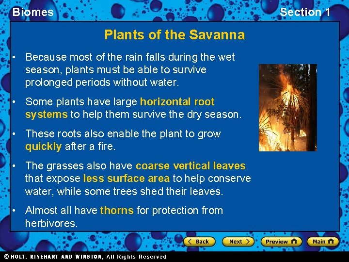 Biomes Section 1 Plants of the Savanna • Because most of the rain falls