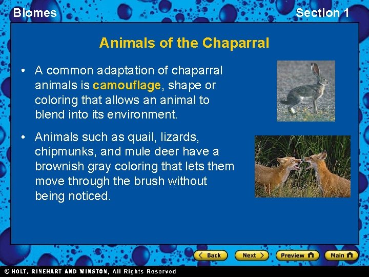 Biomes Section 1 Animals of the Chaparral • A common adaptation of chaparral animals