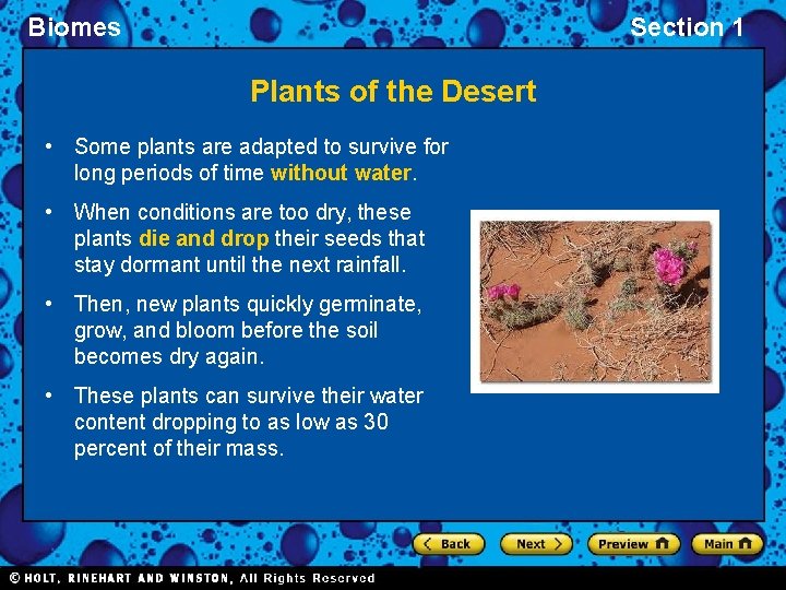 Biomes Section 1 Plants of the Desert • Some plants are adapted to survive