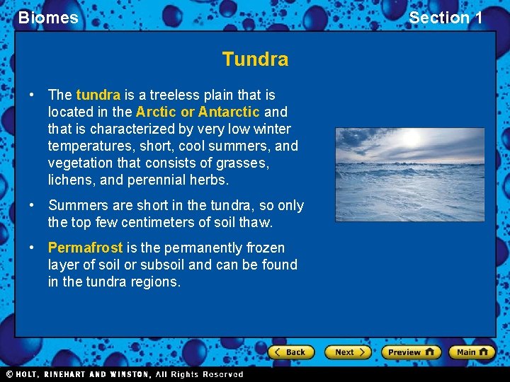 Biomes Section 1 Tundra • The tundra is a treeless plain that is located