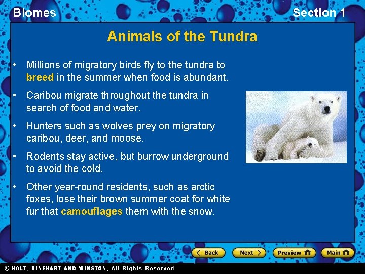Biomes Section 1 Animals of the Tundra • Millions of migratory birds fly to