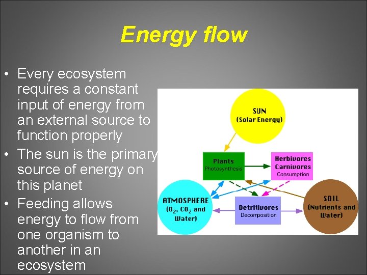 Energy flow • Every ecosystem requires a constant input of energy from an external