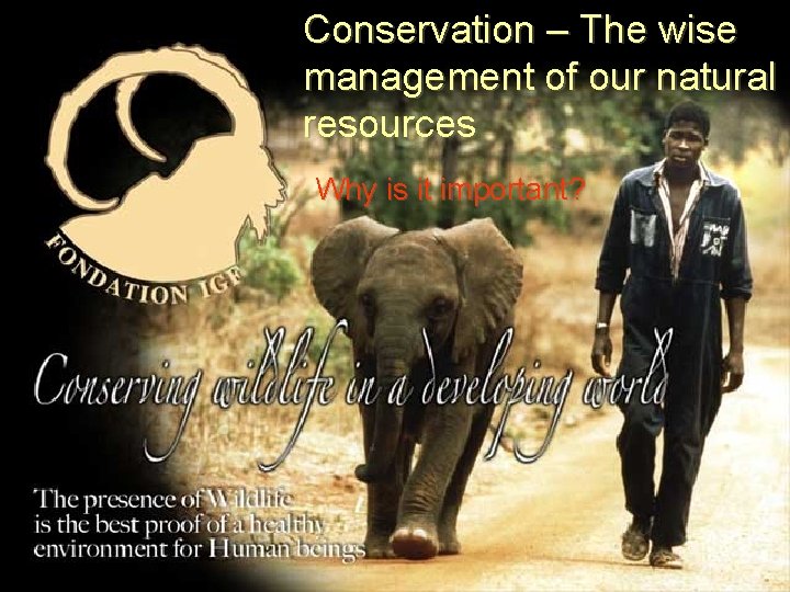 Conservation – The wise management of our natural resources Why is it important? 