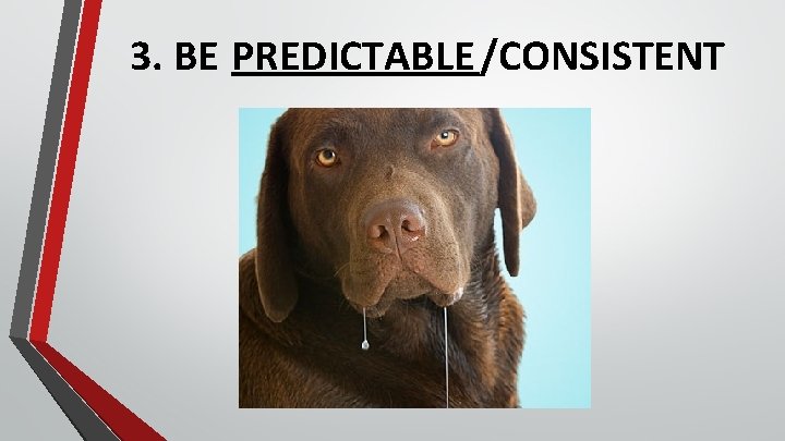 3. BE PREDICTABLE /CONSISTENT 