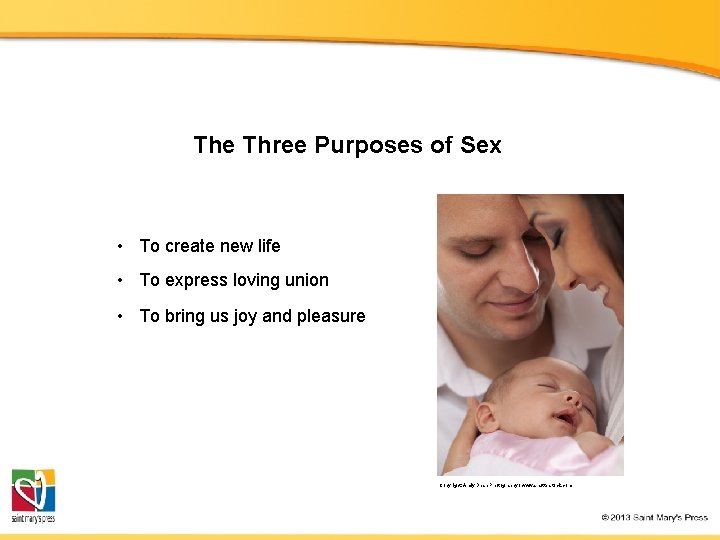 The Three Purposes of Sex • To create new life • To express loving