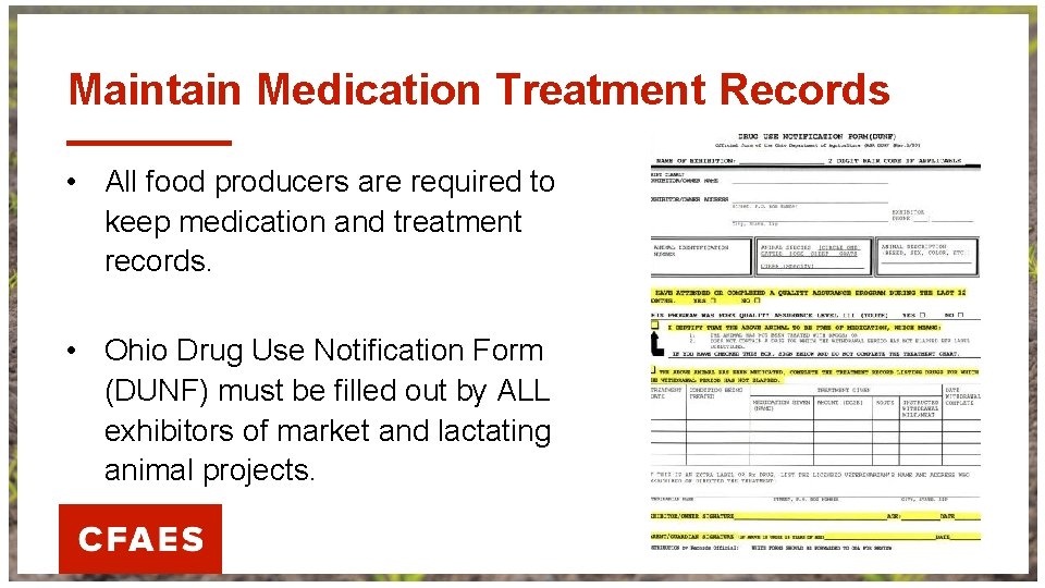 Maintain Medication Treatment Records • All food producers are required to keep medication and