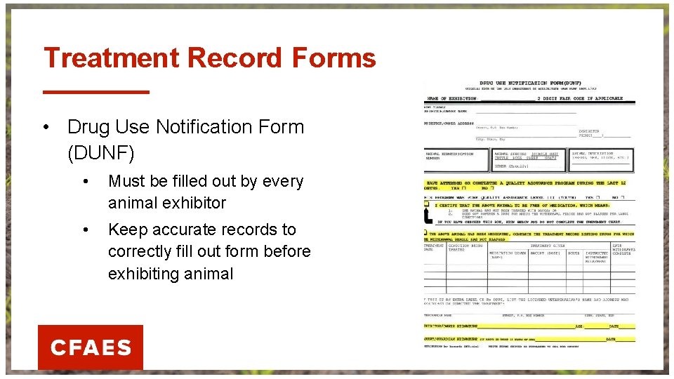 Treatment Record Forms • Drug Use Notification Form (DUNF) • Must be filled out