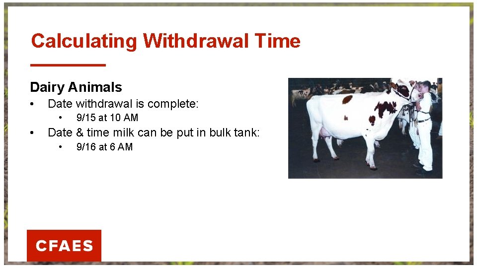 Calculating Withdrawal Time Dairy Animals • Date withdrawal is complete: • • 9/15 at