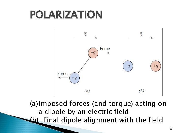 POLARIZATION (a) Imposed forces (and torque) acting on a dipole by an electric field