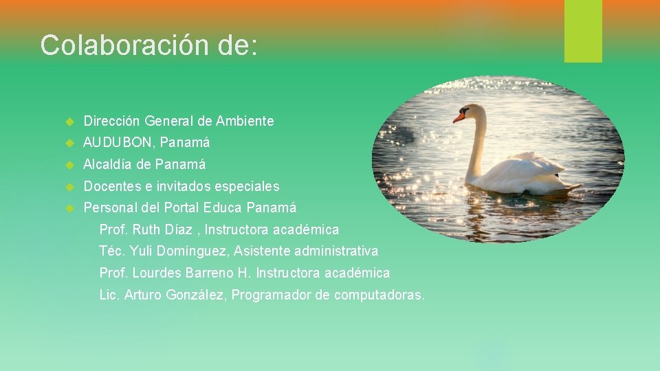 Colaboración de: Dirección General de Ambiente AUDUBON, Panamá Alcaldía de Panamá Docentes e invitados