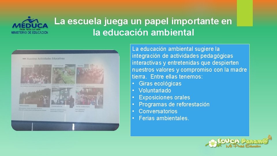 La escuela juega un papel importante en la educación ambiental La educación ambiental sugiere